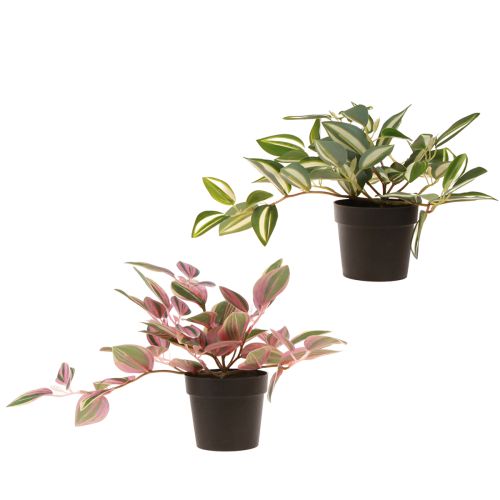 Artikel Tradescantia Groene kunstplant in pot H19,5cm 2st