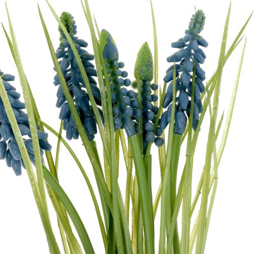 Floristik24 Druif hyacint blauw L 28-30cm
