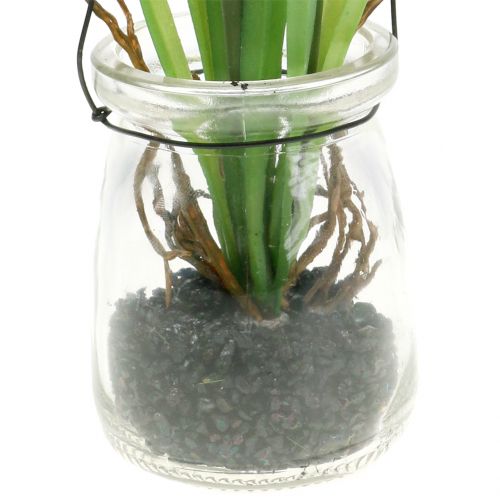 Artikel Druivenhyacint wit in een glas om op te hangen H22cm