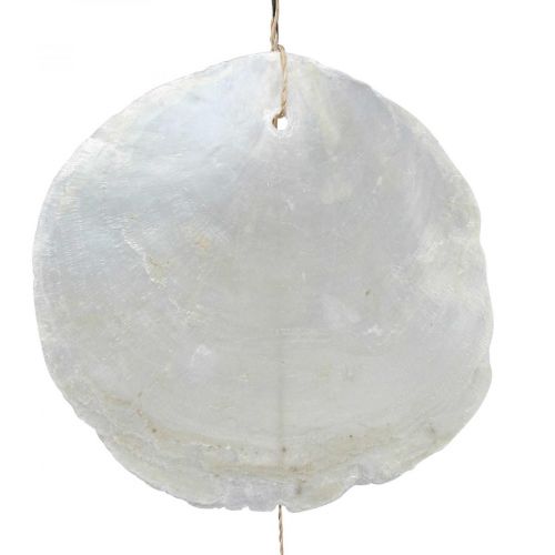 Artikel Drijfhout Capiz schelpen guirlande parelmoer H100cm