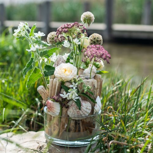 Floristik24 Drijfhout decoratief drijfhout houten stokjes naturel L15cm