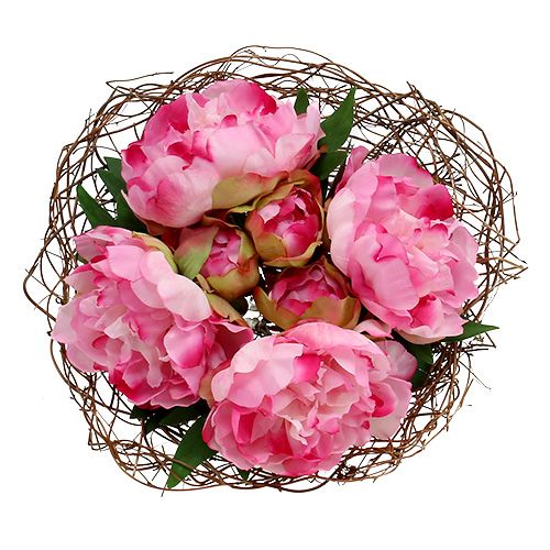 Floristik24 Trechterhoes wijnstok Ø30cm naturel 8st