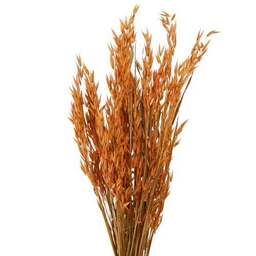 Artikel Dry Deco Haver Deco in Oranje L64cm 70-75g 2st