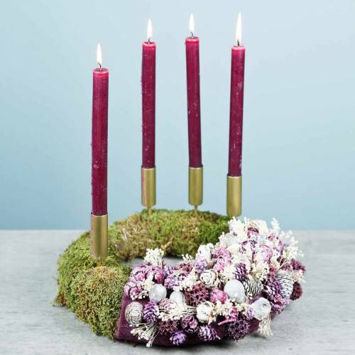 Floristik24 Droogbloemen Broom Bloom Gebleekt 140g