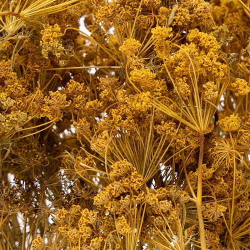 Artikel Boeket gedroogde bloemen met delicate bloesems voor een romantische vintage decoratie, 55 cm