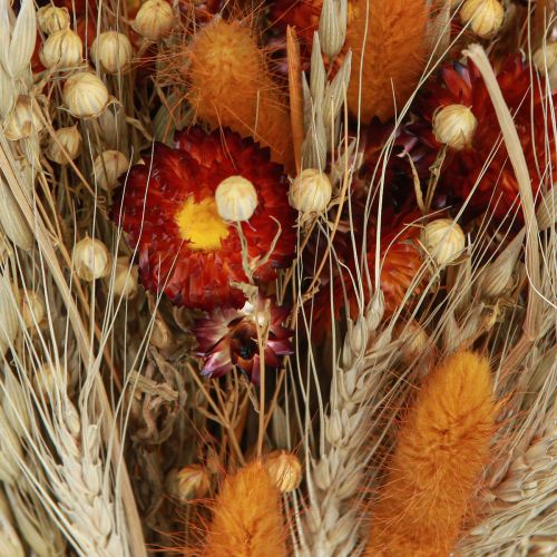 Artikel Droogbloemen veldbloemen boeket strobloemen oranje L30cm