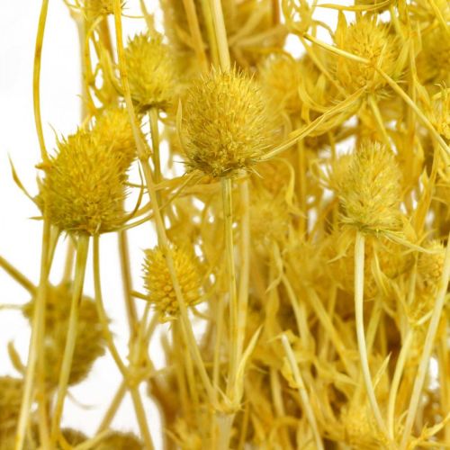 Artikel Droogbloemen gele droge distel aardbeidistel 100g
