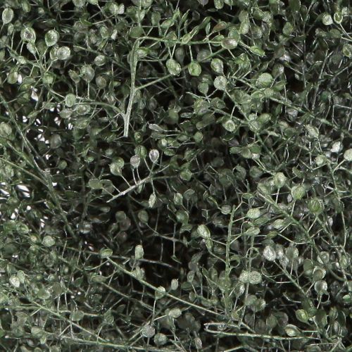 Artikel Droogbloemenkrans groen metallic lepidium decoratie Ø33cm