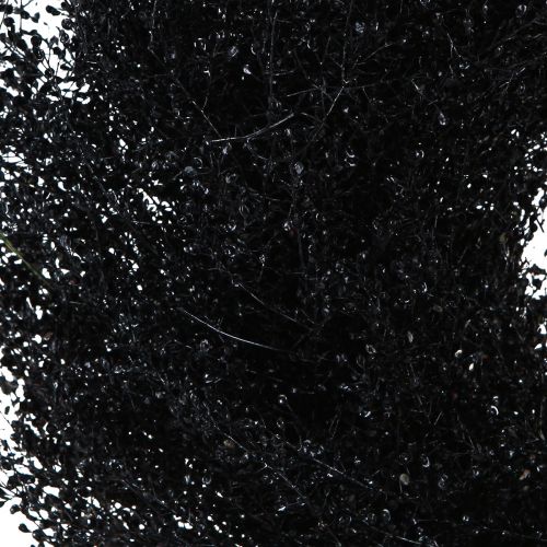 Artikel Droogbloemenkrans zwart metallic Lepidium Ø33cm
