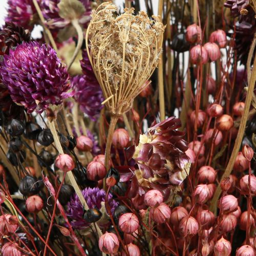 Artikel Droogbloemen paarse klaver strobloemen vlas dille 35cm 150g