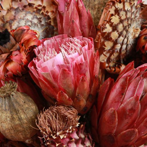 Artikel Droogbloemenmix roze protea artisjok klaproos 38cm 580g