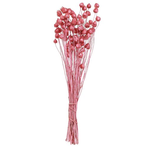 Artikel Gedroogde bloemen roze droge distel aardbeidistel geverfd 50cm 100g