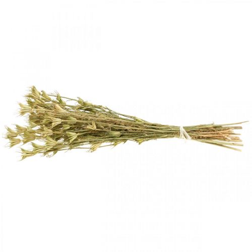 Floristik24 Droogbloemen zwarte komijn decoratie natuur Nigella 50cm 75g