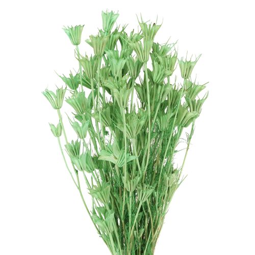 Artikel Gedroogde bloemen zwarte komijn groene nigella 50cm 100g