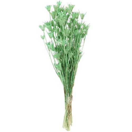 Artikel Gedroogde bloemen zwarte komijn groene nigella 50cm 100g