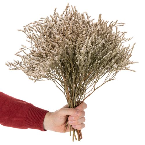 Gedroogde lavendel, bosje, Statice, natuur, 1 kg | Floristik24.nl