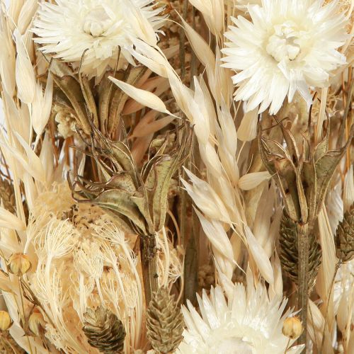 Artikel Droogbloemen wit goud met dop bloemen Phalaris 30cm 200g