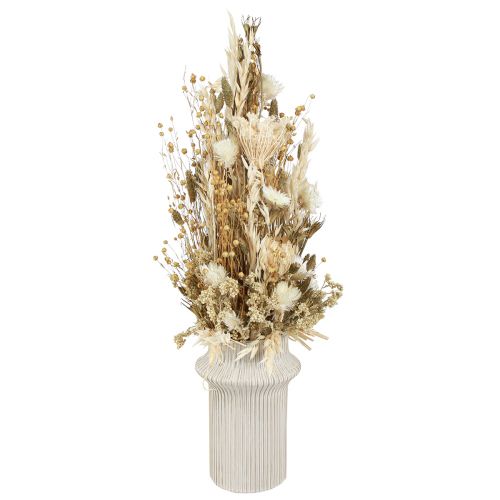 Droogbloemen wit goud met dop bloemen Phalaris 30cm 200g