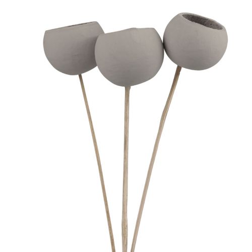 Artikel Droogbloemen decoratieve stolp op steel grijs 37cm 3 st