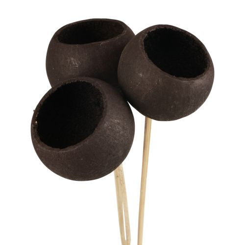 Artikel Droogbloemen decoratieve stolpen op steel zwart 44cm 3 st