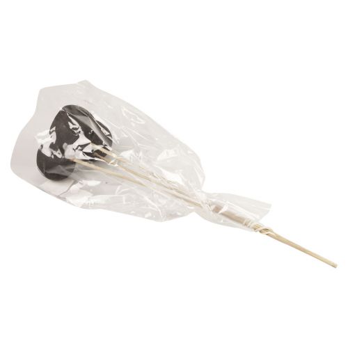 Artikel Droogbloemen decoratieve stolpen op steel zwart 44cm 3 st