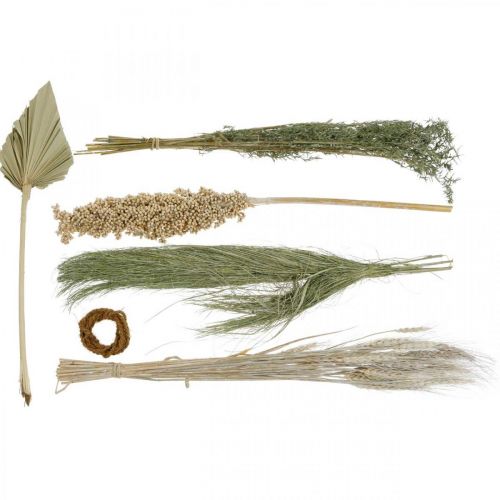 Gedroogde bloemen exotische wit-natuur mix, droge flora mix Gedroogde bloemen exotische wit-natuur mix, droge flora mix