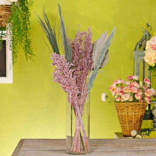 Floristik24 Gedroogde bloemen exotisch wit-roze mix droogboeket set