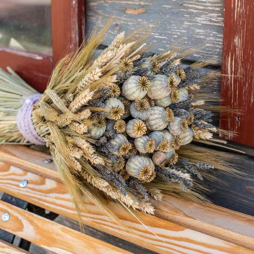 Floristik24 Gedroogde maanzaadcapsules natuurlijke gedroogde bloemen bos deco papaver 90g