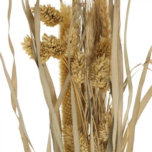 Gedroogde grassen en granen naturel in een bos gedroogd boeket 48cm
