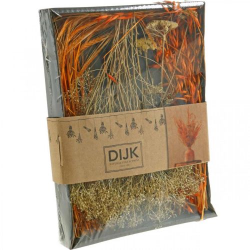 Floristik24 Gedroogde Bloemendoos Oranje Droge Bloemistenset