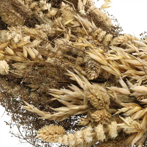 Floristik24 Sierkrans droogbloemen groot granen en gras natuur Ø50cm