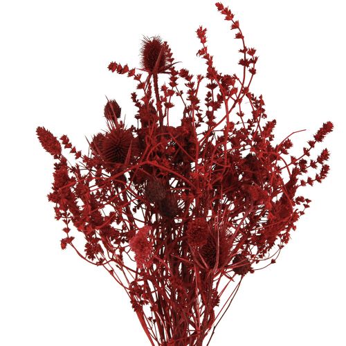 Artikel Droogbloemenboeket disteldecoratie in wijnrood 40cm 80g
