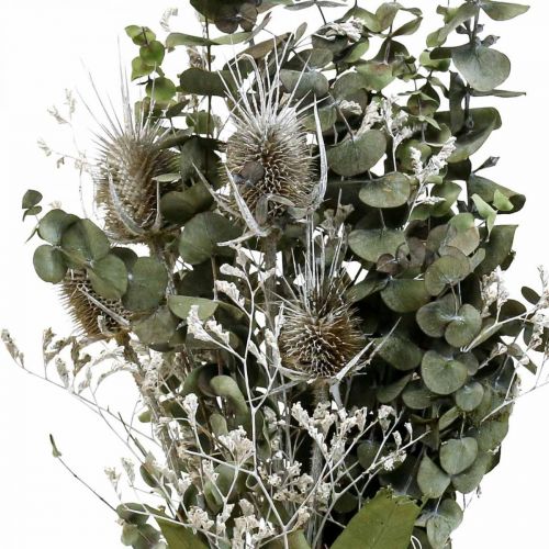 Floristik24 Boeket droogbloemen eucalyptus boeket distels 45-55cm 100g