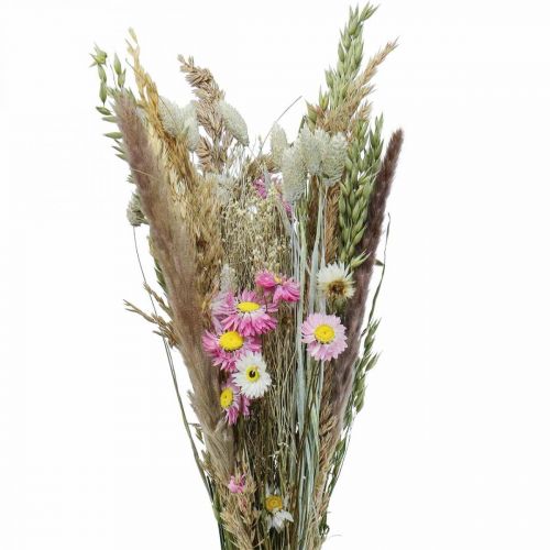 Floristik24 Boeket droogbloemen gras Phalaris strobloemen roze 60cm 110g