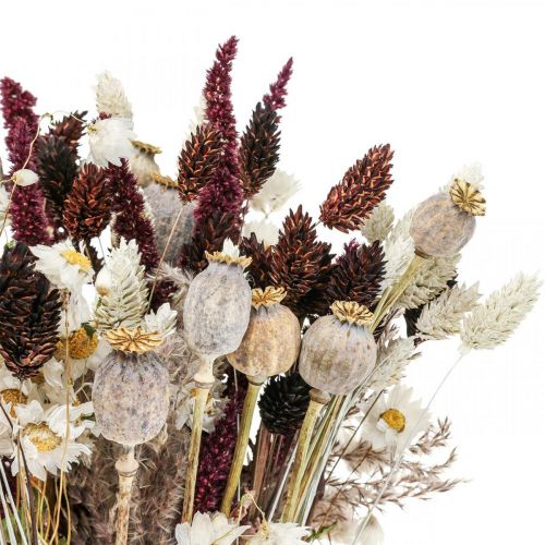 Floristik24 Boeket droogbloemen zomerdecoratie droogbloemen 58cm