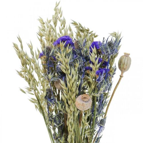 Floristik24 Boeket droogbloemen Boeket weidebloemen blauw H50cm 100g