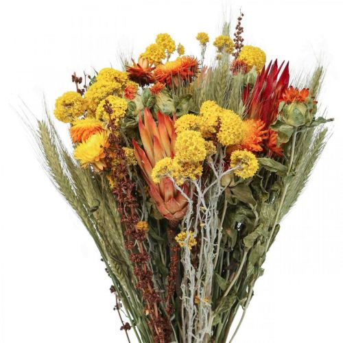 Floristik24 Boeket droogbloemen Boeket weidebloemen Oranje H50cm 300g