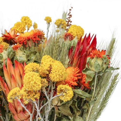 Floristik24 Droogbloemenboeket boeket weidebloemen oranje H50cm 300g