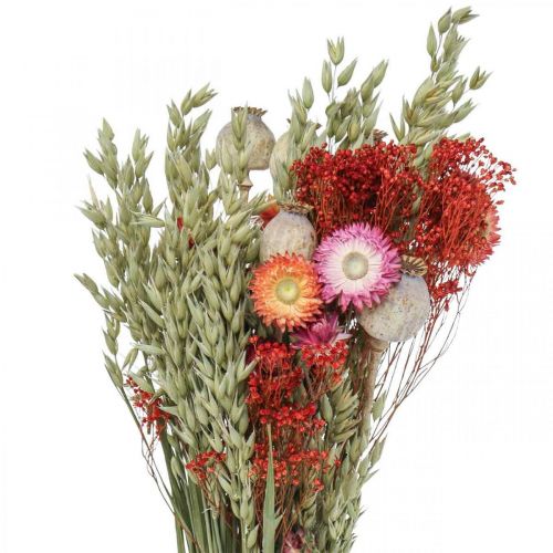 Floristik24 Boeket droogbloemen Boeket weidebloemen Rood H50cm 150g