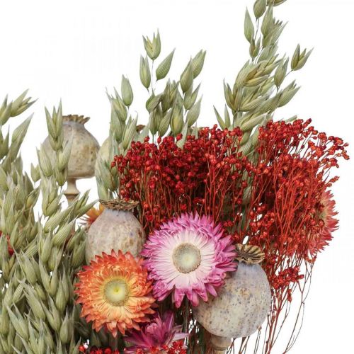 Artikel Boeket droogbloemen Boeket weidebloemen Rood H50cm 150g