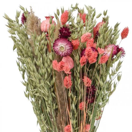 Floristik24 Boeket droogbloemen strobloemen graanpapaver capsule Phalaris zegge 55cm