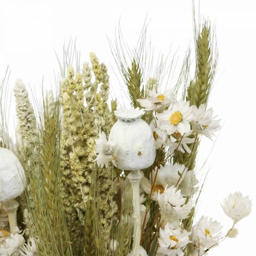 Floristik24 Boeket droogbloemen strobloemen graan papaver capsule droog gras 50cm