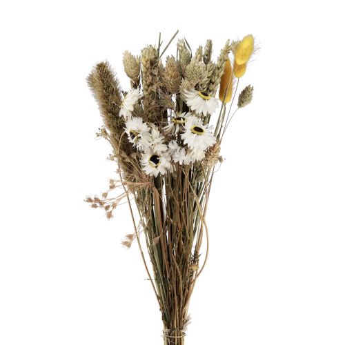 Artikel Droogbloemenboeket strobloemen Phalaris wit geel 30cm