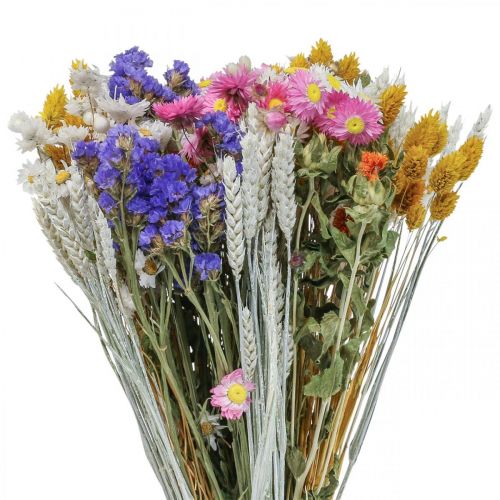 Floristik24 Droogbloemenboeket strobloemen strandlavendel Phalaris korrel 55cm