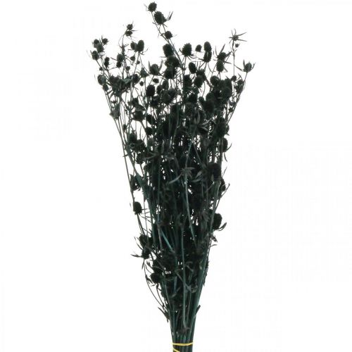 Floristik24 Droge Distel Zwarte Aardbeiendistel Gedroogde Bloemen 100g