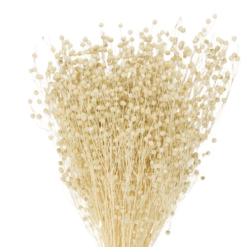 Gedroogd grasvlas gedroogd natuurlijk gebleekt 50-55cm 180g
