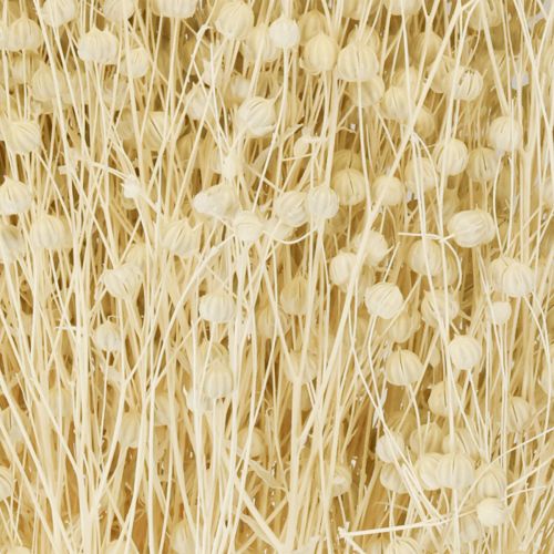 Artikel Gedroogd grasvlas gedroogd natuurlijk gebleekt 50-55cm 180g