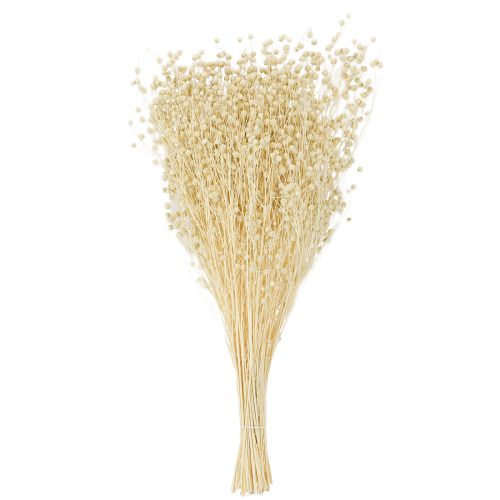 Artikel Gedroogd grasvlas gedroogd natuurlijk gebleekt 50-55cm 180g