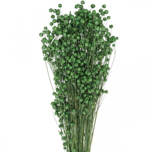 Artikel Gedroogd Gras Gedroogd Vlas Groen H50–55cm 80g