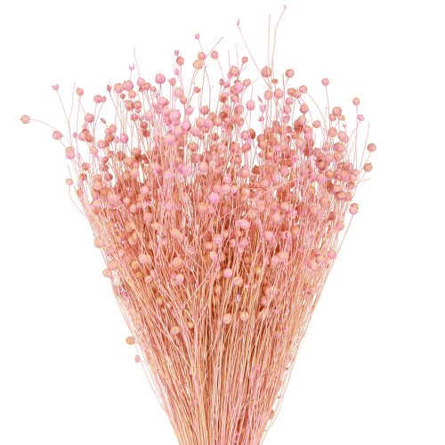 Artikel Droog Gras Gedroogd Vlas Lichtroze H50–55cm 80g